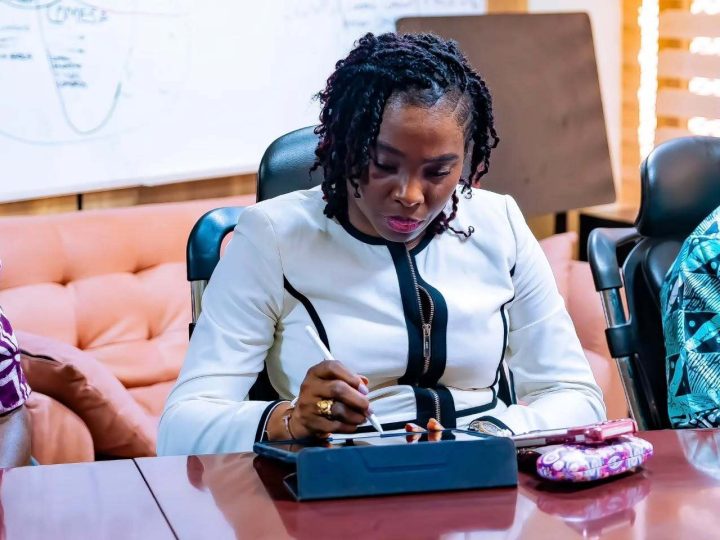 Maputo 10 per cent declaration non implementation costing Nigeria’s agric budget to get lower allocations since 2023