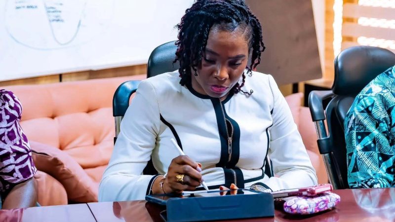 Maputo 10 per cent declaration non implementation costing Nigeria’s agric budget to get lower allocations since 2023